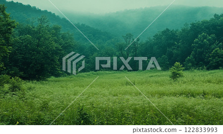Lush green field with trees in the background. The sky is cloudy and the atmosphere is peaceful 122833993