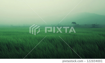 Vast, lush green field with a hazy, foggy sky in the background. Scene is serene and tranquil, as the grass sways gently in the breeze. The fog adds a sense of mystery 122834001