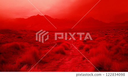 Red field with a dirt road in the middle. The sky is cloudy and the sun is setting Red field with a dirt road in the middle. The sky is cloudy and the sun is setting 122834098