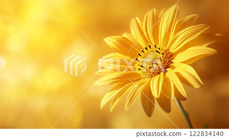 Yellow flower with a bright sun in the background. The flower is the main focus of the image, and the sun adds a warm and cheerful atmosphere to the scene 122834140