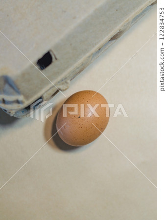 Single brown egg placed near an open, worn-out cardboard egg carton. High quality photo 122834753