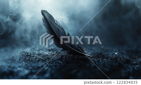 Feather is laying on the ground in front of a dark sky. The image has a moody and mysterious feel to it, as if the feather is a symbol of something deeper or more profound 122834835