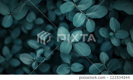 Close up of green leaves with a blue background. The leaves are arranged in a way that creates a sense of depth and movement. The blue background adds a calming and serene atmosphere to the image 122834844