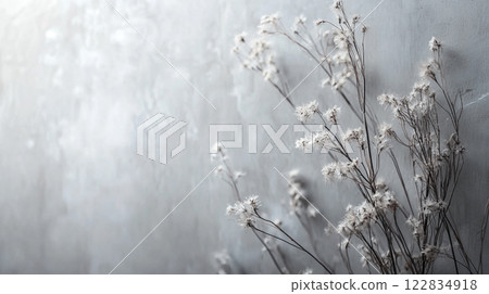 Close up of a bunch of white flowers on a wall. The flowers are sparse and the wall is grey 122834918