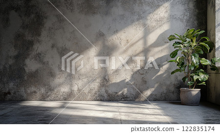 Large plant sits in a pot in a room with a white wall. The room is empty and has a very clean and minimalist look 122835174