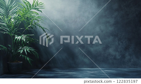 Plant is sitting in a pot in front of a wall. The wall is made of concrete and has a greyish color. The plant is green and has long leaves. The room is empty and has a minimalist feel to it Plant is sitting in a pot in front of a wall. The wall is made of concrete and has a greyish color. The plant is green and has long leaves. The room is empty and has a minimalist feel to it 122835197