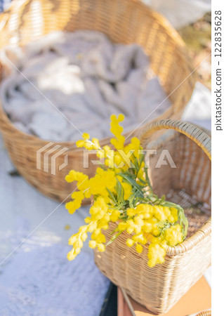 Mimosa flowers in a basket 122835628