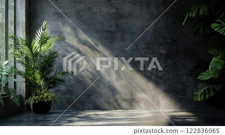 Large plant sits in a black pot in front of a wall. The wall is made of concrete and has a greyish color. The plant is in a room with a window, and the sunlight is shining on it, creating a warm Large plant sits in a black pot in front of a wall. The wall is made of concrete and has a greyish color. The plant is in a room with a window, and the sunlight is shining on it, creating a warm 122836065