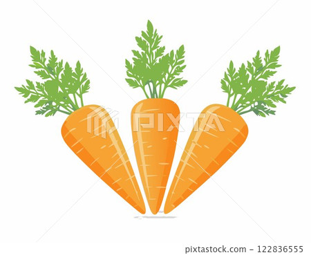 Vector of Fresh carrot isolated on white background healthy close up. 122836555