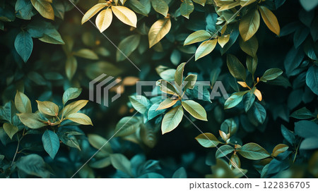 Close up of green leaves with a yellowish tint. The leaves are arranged in a way that creates a sense of depth and movement 122836705