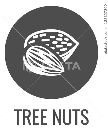 Tree Nut Almond Food Allergen Allergy Icon Concept Tree Nut Almond Food Allergen Allergy Icon Concept 122837200