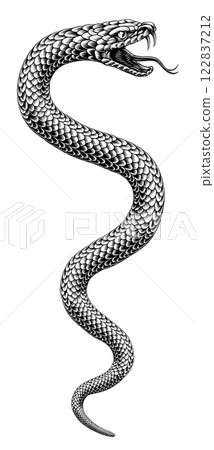 Snake Coiled Serpent Vintage Style Illustration Snake Coiled Serpent Vintage Style Illustration 122837212