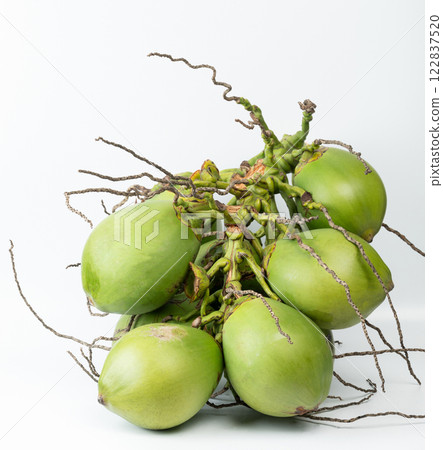 Chopped coconut branch 122837520