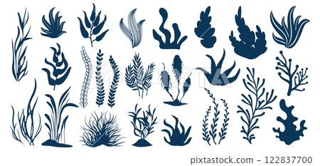 Seaweed silhouettes. Aquatic plants, underwater flora shapes of leaves and seaweeds for aquarium decoration. Marine plant isolated vector set 122837700