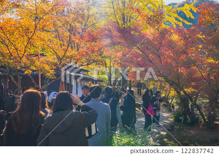 遊客在豐田市（愛知縣）香嵐溪觀賞紅葉 122837742