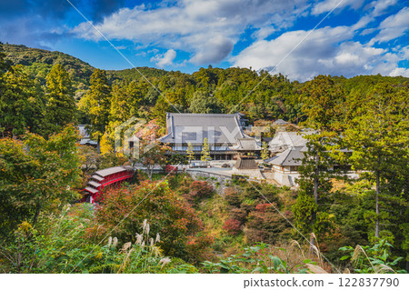 Scenery of Hokoji Temple in Hamamatsu City (Shizuoka Prefecture) surrounded by autumn leaves Scenery of Hokoji Temple in Hamamatsu City (Shizuoka Prefecture) surrounded by autumn leaves 122837790