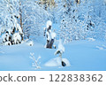Winter landscape 122838362