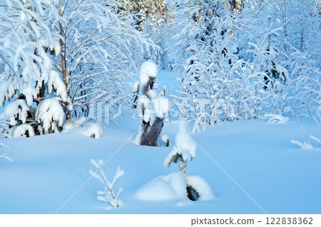 Winter landscape 122838362