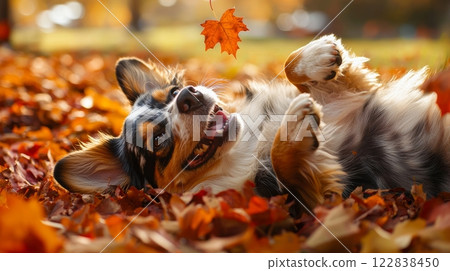 A playful dog lies in colorful autumn leaves, enjoying the season while reaching for a falling leaf. 122838450