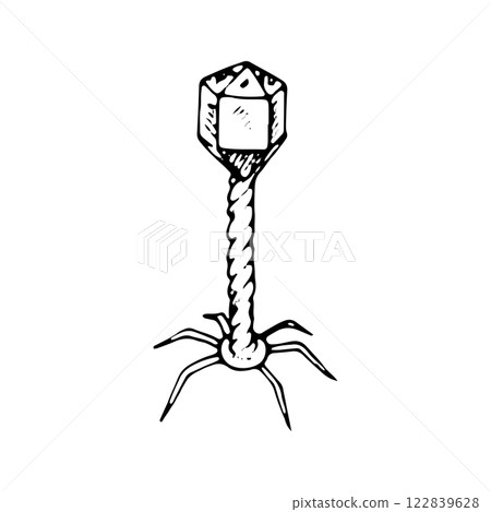 Bacteriophage - microscopic viral agent infecting bacteria, symbolizing biological control. Black and white vector illustration with white background. Hand drawn isolated line art object 122839628