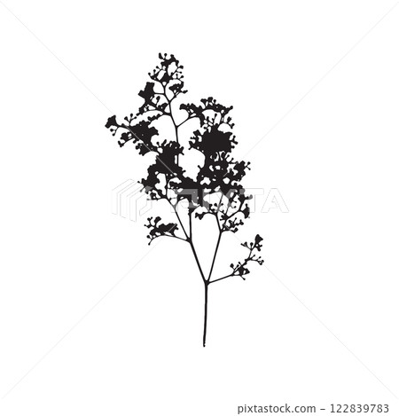Rough edges dried floral sinlouette Rough edges dried floral sinlouette 122839783
