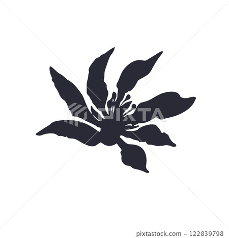 Black and white minimal rustic inky flower silhouette Black and white minimal rustic inky flower silhouette 122839798