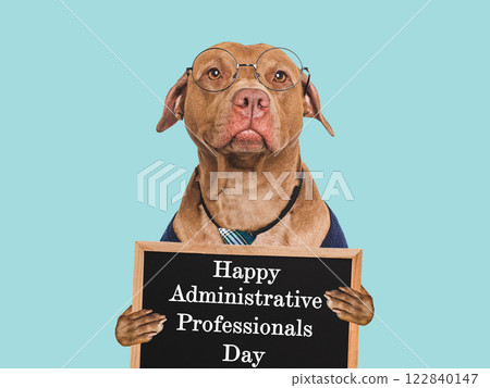 Happy Administrative Professionals Day. Cute dog and congratulatory inscription Happy Administrative Professionals Day. Cute dog and congratulatory inscription 122840147