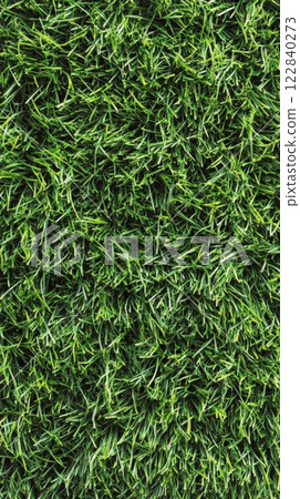 Lush green grass covering the ground in a sunny outdoor location during daytime 122840273