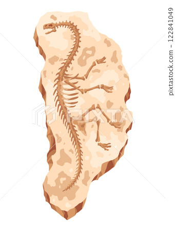Dinosaur fossil skeleton bones, excavations of archeology isolated. Prehistoric reptile skeletons lying underground. Cartoon paleontological artifact 122841049