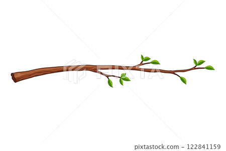 Tree branch. Leafy plants twig, fresh greenery. Deciduous bush sprout on white background. Vector isolated botanical decoration element 122841159