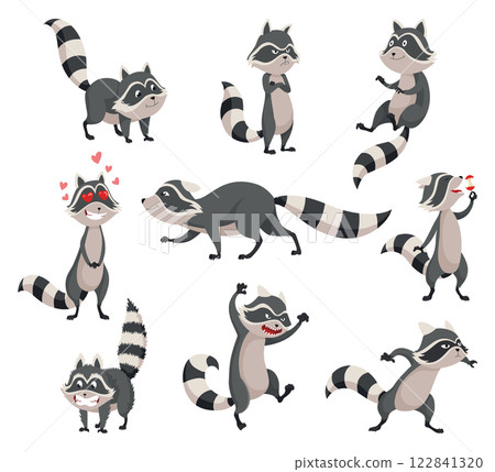 Cartoon raccoon character emotions. Funny wild coon in different poses, cute mammal set. Vector design animals icons isolated on white background 122841320