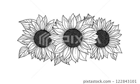 Sunflower outlines illustration. Three flowers with leaves detailed. Decoration prints branding design. Black outline white background minimal style. Sunflower outlines illustration. Three flowers with leaves detailed. Decoration prints branding design. Black outline white background minimal style. 122843101