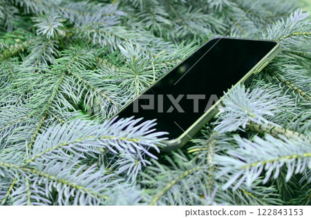 Smartphone Lies On Spruce Branches 122843153