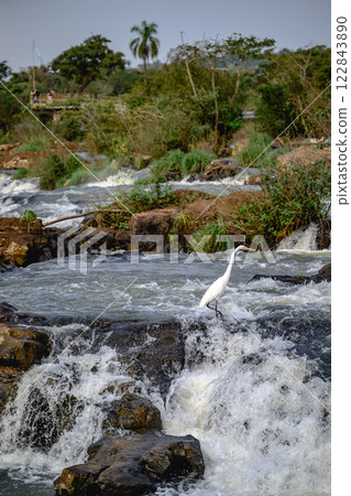 Iguazu waterfalls in overcast weather Iguazu waterfalls in overcast weather 122843890