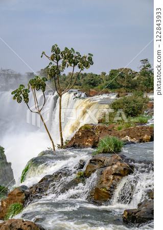 Iguazu waterfalls in overcast weather Iguazu waterfalls in overcast weather 122843933