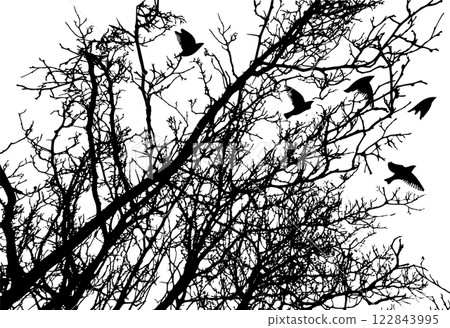 Tree silhouette and flying birds. hand drawing. Not AI Vector 122843995