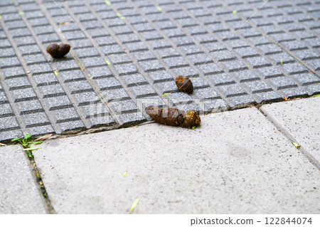 There is a pile of dog poop located on a tiled floor surface There is a pile of dog poop located on a tiled floor surface 122844074