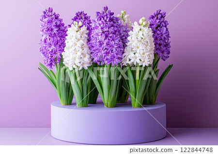 Hyacinth flowers in elegant arrangement on purple background 122844748