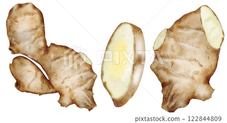 Ginger watercolor set. Hand drawn hot root on isolated white background. Clip art fruits and spices for hot drinks. Ideal for natural tea design and nutritionist blogs design Ginger watercolor set. Hand drawn hot root on isolated white background. Clip art fruits and spices for hot drinks. Ideal for natural tea design and nutritionist blogs design 122844809