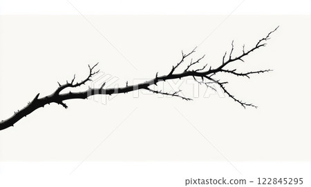 Bare branch reaching across a stark white background 122845295