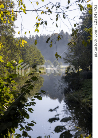 mixed forest and river in sunny weather in early August 122845452