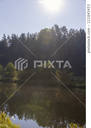 mixed forest and river in sunny weather in early August mixed forest and river in sunny weather in early August 122845453