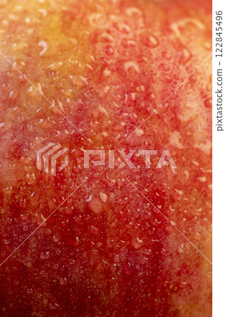 fresh crunchy apple with red and green peel fresh crunchy apple with red and green peel 122845496