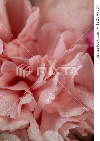 a bouquet of flowers of different colors in drops of water a bouquet of flowers of different colors in drops of water 122845527