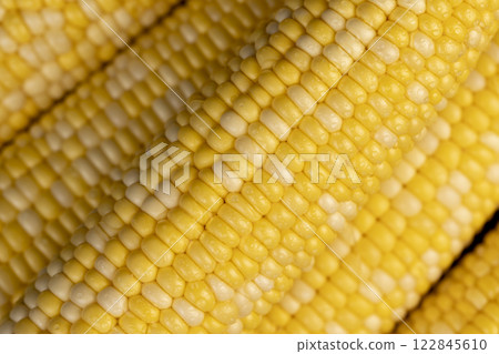 peeled corn cob with yellow and white seeds of different sizes and shades peeled corn cob with yellow and white seeds of different sizes and shades 122845610