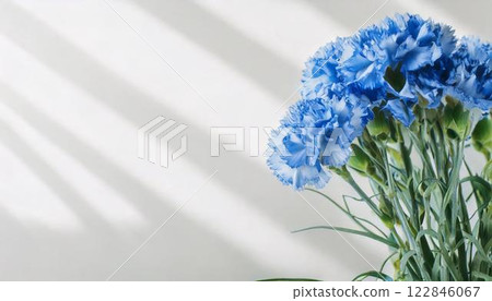 父親節橫幅黃色和藍色康乃馨背景框複製空間 122846067