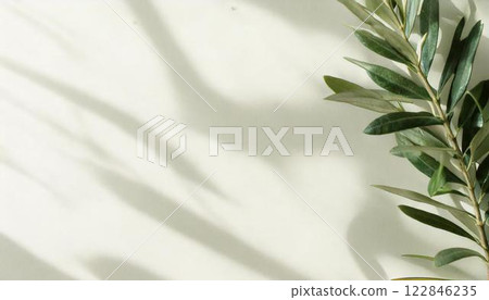 Olive leaves, white background, plant shadow, copy space frame Olive leaves, white background, plant shadow, copy space frame 122846235