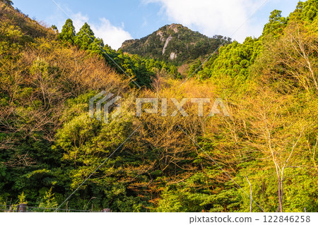 新綠與神明居住的山:離岸阿爾卑斯山屋久島 新綠與神明居住的山:離岸阿爾卑斯山屋久島 122846258