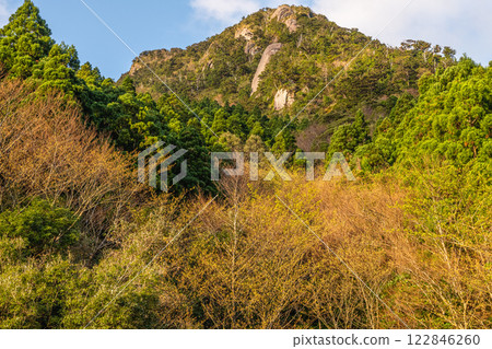 新綠與神明居住的山：離岸阿爾卑斯山屋久島 122846260