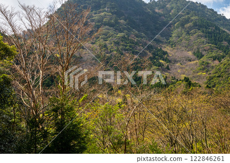 新綠與神明居住的山:離岸阿爾卑斯山屋久島 新綠與神明居住的山:離岸阿爾卑斯山屋久島 122846261